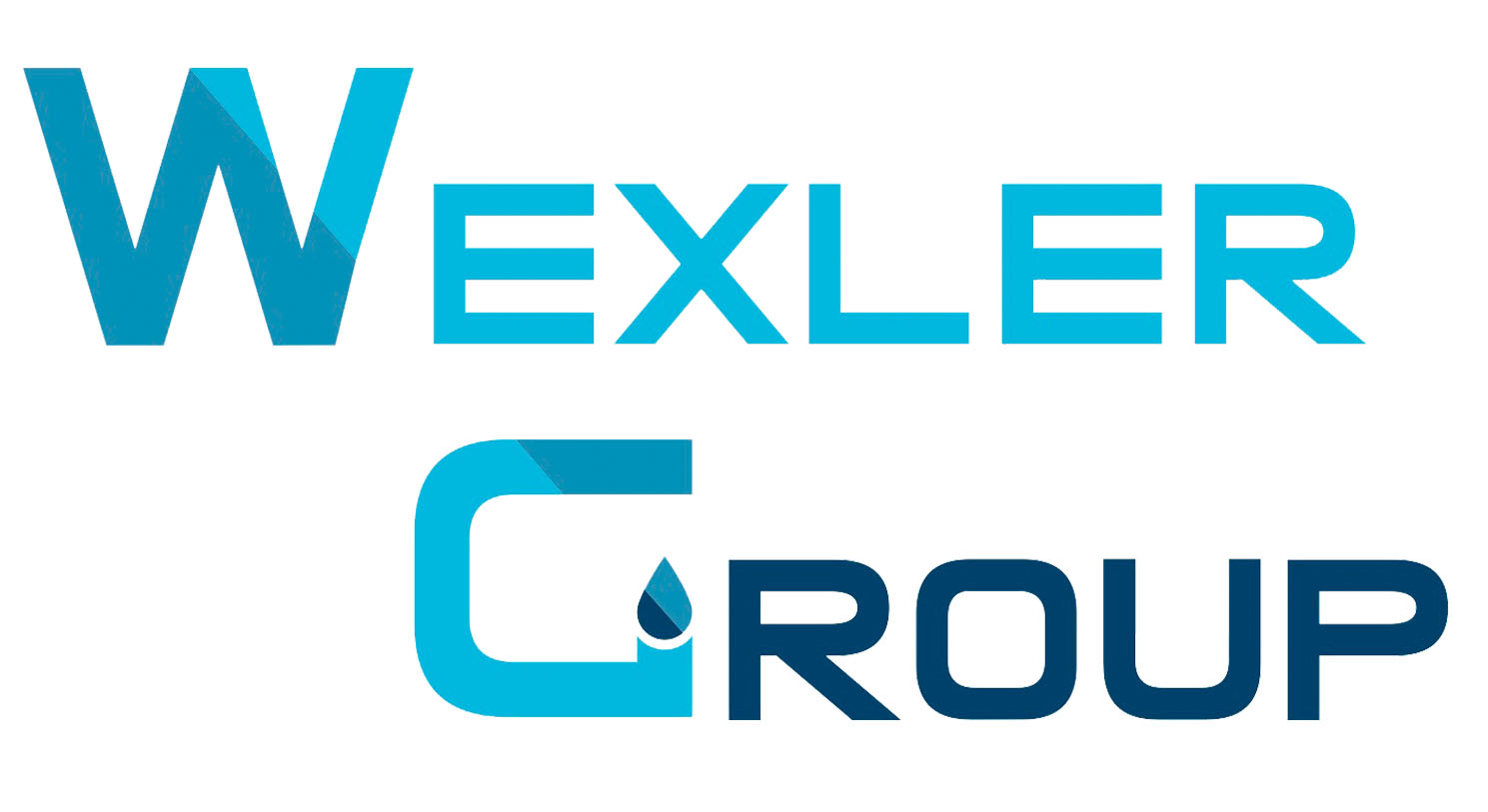 Підсумки року: Wexler Group – лідер поставок пального на ринку України 